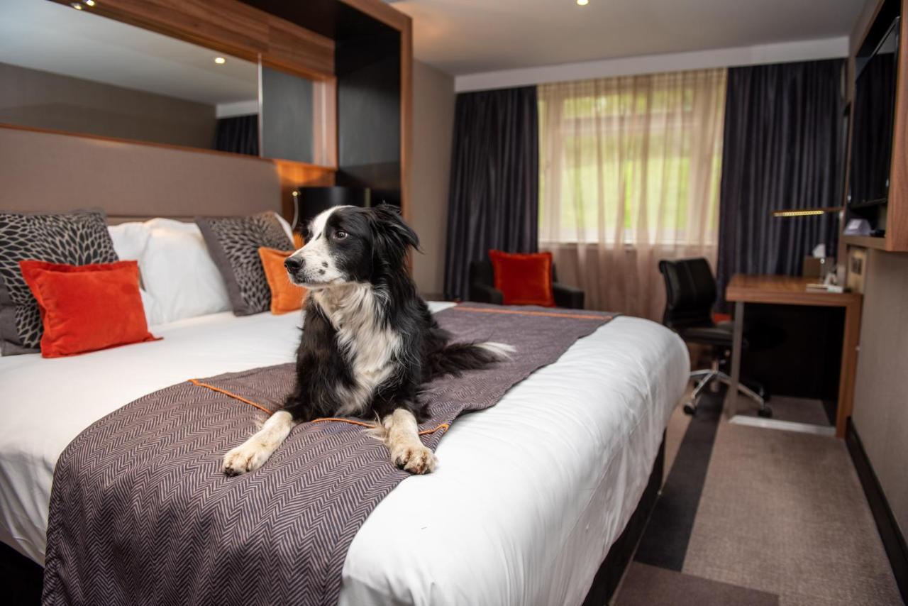 Crowne Plaza Gerrards Cross By Ihg Hotel Beaconsfield Ngoại thất bức ảnh